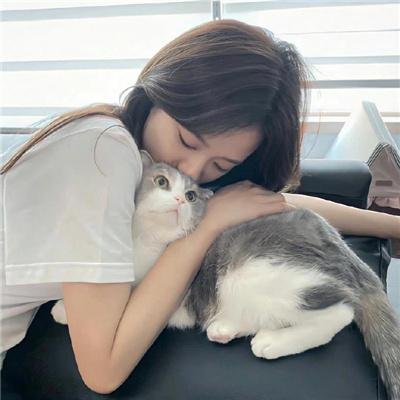 法律与秩序第二十四季